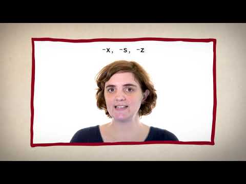 La phonétique 19 Les liaisons