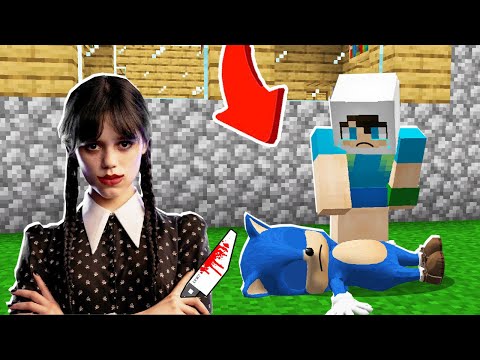 GECE 03:00'TE WEDNESDAY BEBEK SONICE NE YAPTI? ⚠️ Minecraft