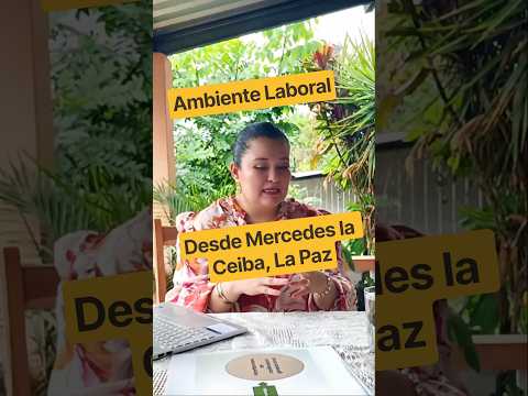 Dificultades para trabajar en el sector servicios, comercio e industria en Mercedes la Ceiba, La Paz