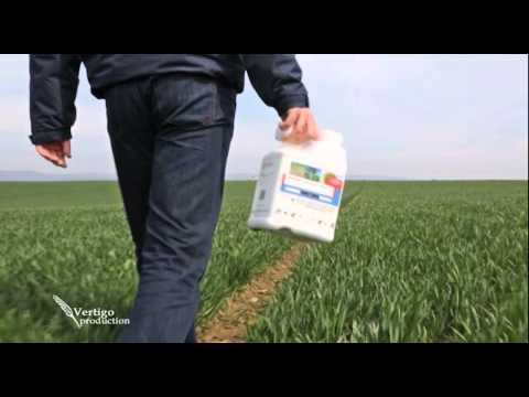 Suzbijanje korova i bolesti u psenici, DuPont   U nasem ataru 581