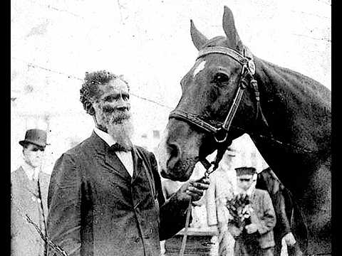 The Smartest Horse That Ever Lived - A True Story