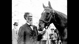 The Smartest Horse That Ever Lived - A True Story