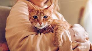 Cat Specialists (Petco)