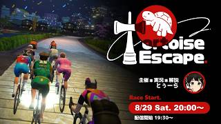 【Tortoise Escape】Vtuber主催のバーチャルロードレース！【Zwift】