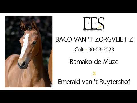 Baco van 't Zorgvliet Z