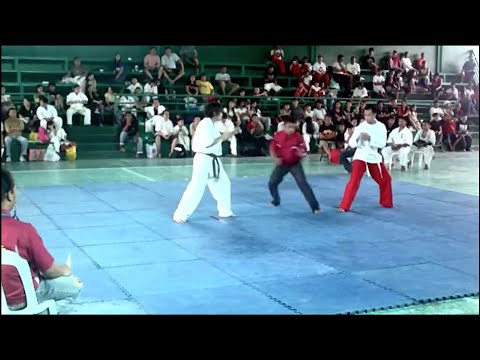 Sikaran vs Karate, Muay Thai, and TKD