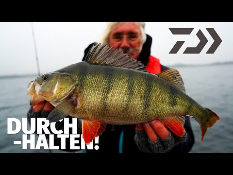 DAIWA: CHANCEN NUTZEN auf GROßFISCH im WINTER – RAUBFISCHANGELN mit JÖRG OVENS – Fang mal was!