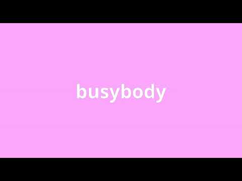 what is the meaning of busybody