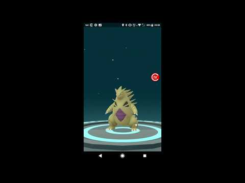 Evoluindo todos os meus Larvitars Shiny e 3 Magikarps Lv. 30+!