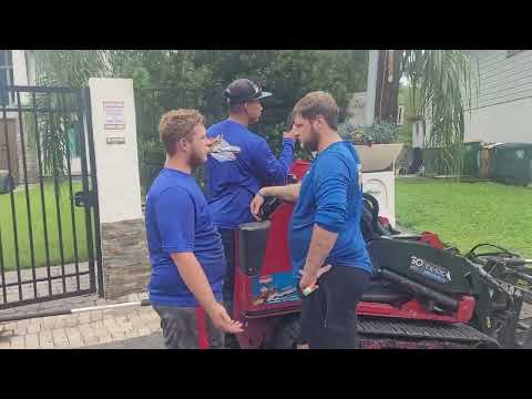 Tree Removal Project