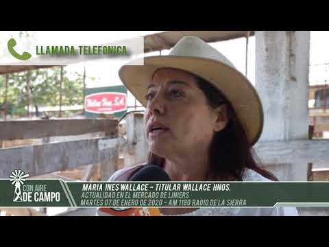 María  Ines Wallace  - Martes 7 de enero de 2020 - AM 1180 Radio de la Sierra