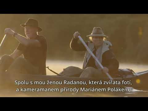 Podpořte Cestu do pralesa Jana Dungela, buďte součástí filmu