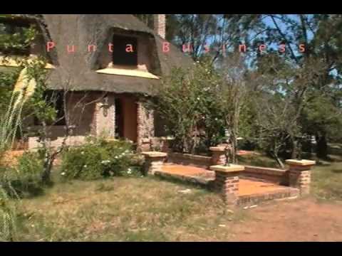 FARM FOR SALE. 10 MINUTES DRIVE FROM PUNTA DEL ESTE.