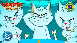 Snooky Traiçoeiro | Krypto the Superdog em Português 🇧🇷 | @DCKidsBrasil