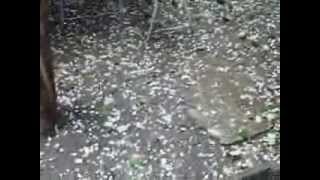 preview picture of video 'ploaie cu piatra ffff mare'