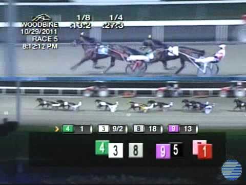 2011 Breeders Crown 2YO Colt Trot - theharnessedge.com