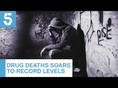 Drug deaths soar to highest level on record | 5 News