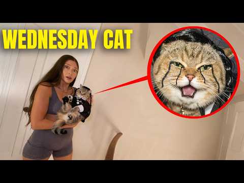IF YOUR CAT TURNS INTO WEDNESDAY ADDAMS, RUN! (EVIL KITTY)