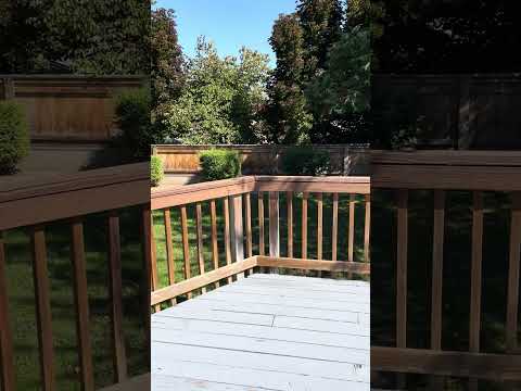 Inviting 3 Bedroom 2 Bath Home in Quiet Neighborhood property video