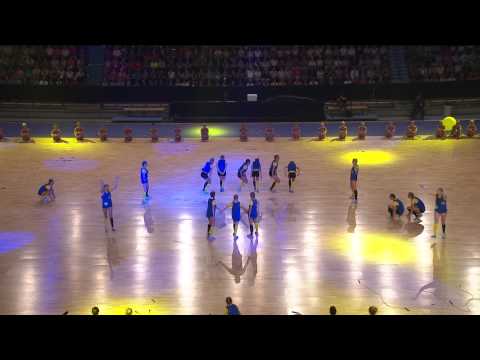 WG2015 National Evening of the Nordic countries HIGHLIGHTS