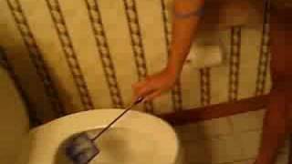 AlL dRAiNS lEAD tO THe OCEAn???