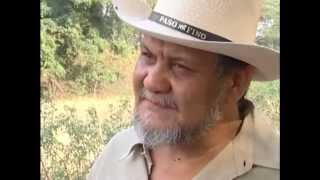 Memoria por la memoria de Pedro Pablo Linárez