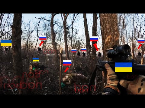 Horrible! Ukrainian close combat kills 460 of Russian soldiers in fierce battle near Bakhmut