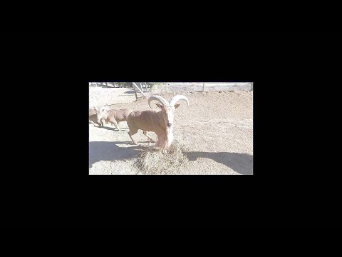 Best Tourist Attractions you MUST SEE in Murcia, Spain | 2019