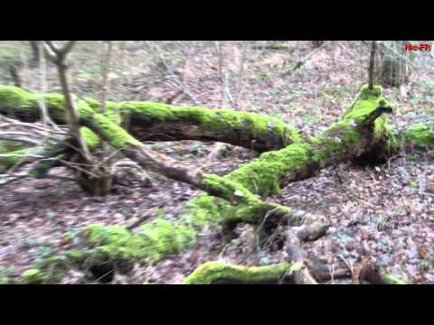 Freiburg - Landwasser