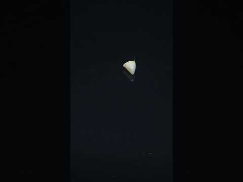 YouTube 썸네일