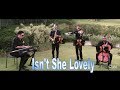 Isn't She lovely (instrumental) - PopClass