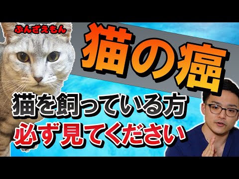 がんになった猫はどのくらい生きますか?
