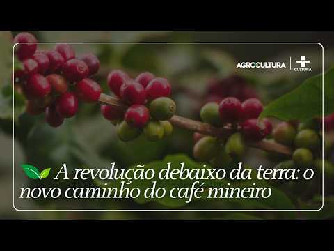 🌱 A revolução debaixo da terra: o novo caminho do café mineiro