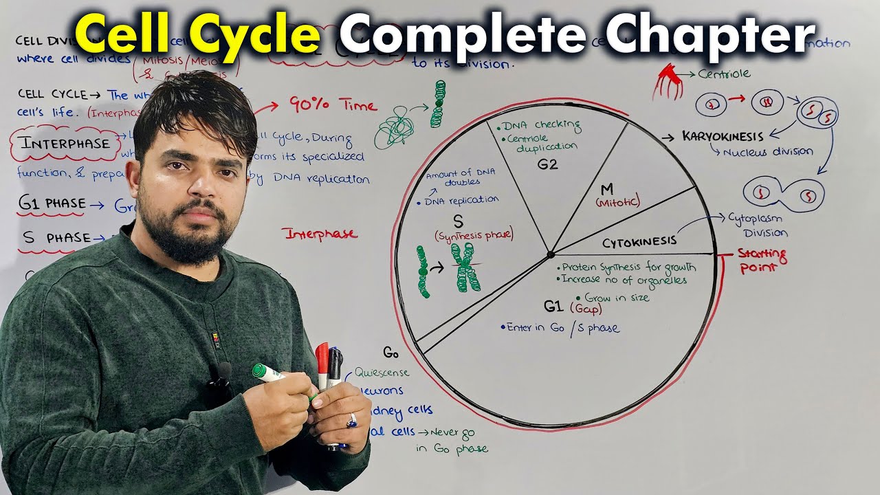 CHAPTER 5 - Cell Cycle - Full Lecture