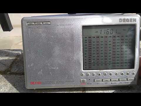 Footstep QRM in various frqs