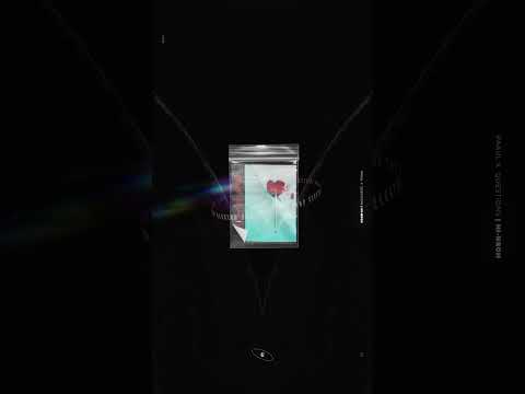 Seeb, Alexander Stewart - Would You Lie