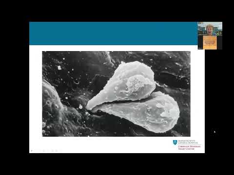 Blum Center Program: High Cholesterol