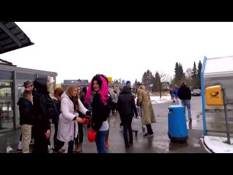 Wankendorfer Harlem Shake!