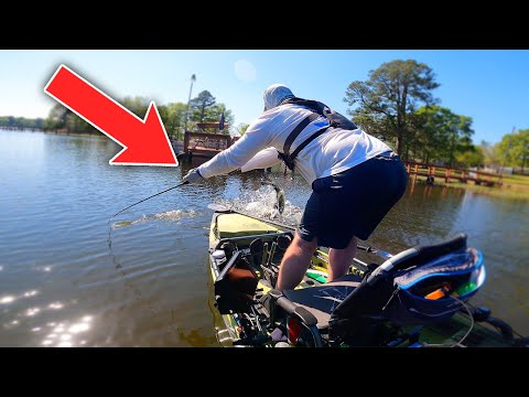 There Are GIANT Bass EVERYWHERE on Santee Cooper Lakes!