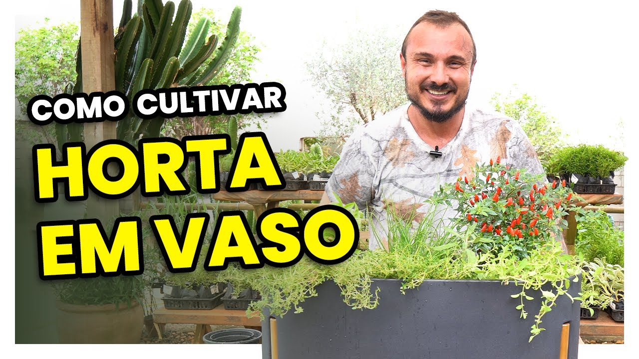 Como cultivar sua própria horta em vaso | Dicas de cultivo
