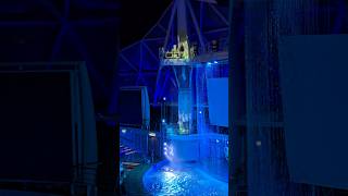 Can u believe this is on a cruise ship? #dive #show #limitlesstravelfl #travel