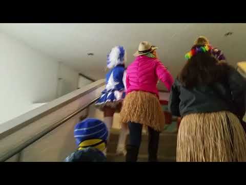 WiWa-Lokal.de - Rathausstürmung Wiesloch 2018 - Finaler Angriff