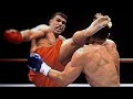 Peter Aerts | Top Knockouts, HD