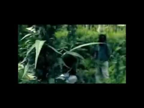 John Holt  Police in Helicopter dubkinetic mix