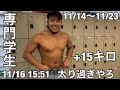 デブになった学生ボディビルダーの増量生活 11/14〜11/23