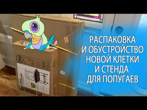 ОБЗОР И ОПТИМАЛЬНОЕ ОБУСТРОЙСТВО КЛЕТКИ И СТЕНДА ДЛЯ ПОПУГАЕВ