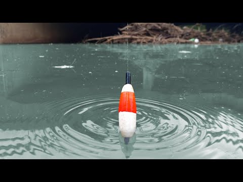 Bobber Fishing a City Creek (INFESTED w/ Bullhead!)