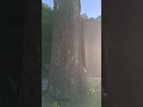 LA HIGUERA POR CHOROMORO DPTO TRANCAS TUCUMÁN ARGENTINA