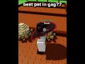 Is This The New Best Pet In Gag Roblox Growagarden Growagardenroblox