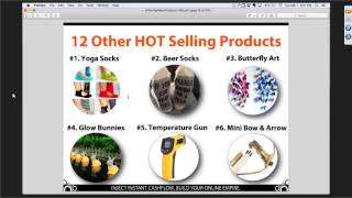 Make $2,867/day Selling 'Unicorn Slippers' (and other WEIRD products)